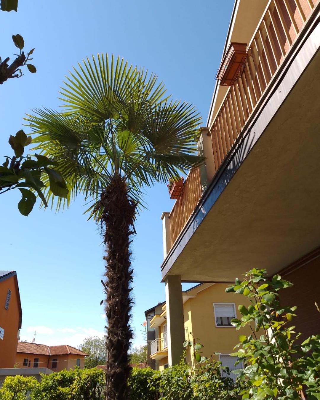 Apartamento La Magnolia Venaria Reale Exterior foto